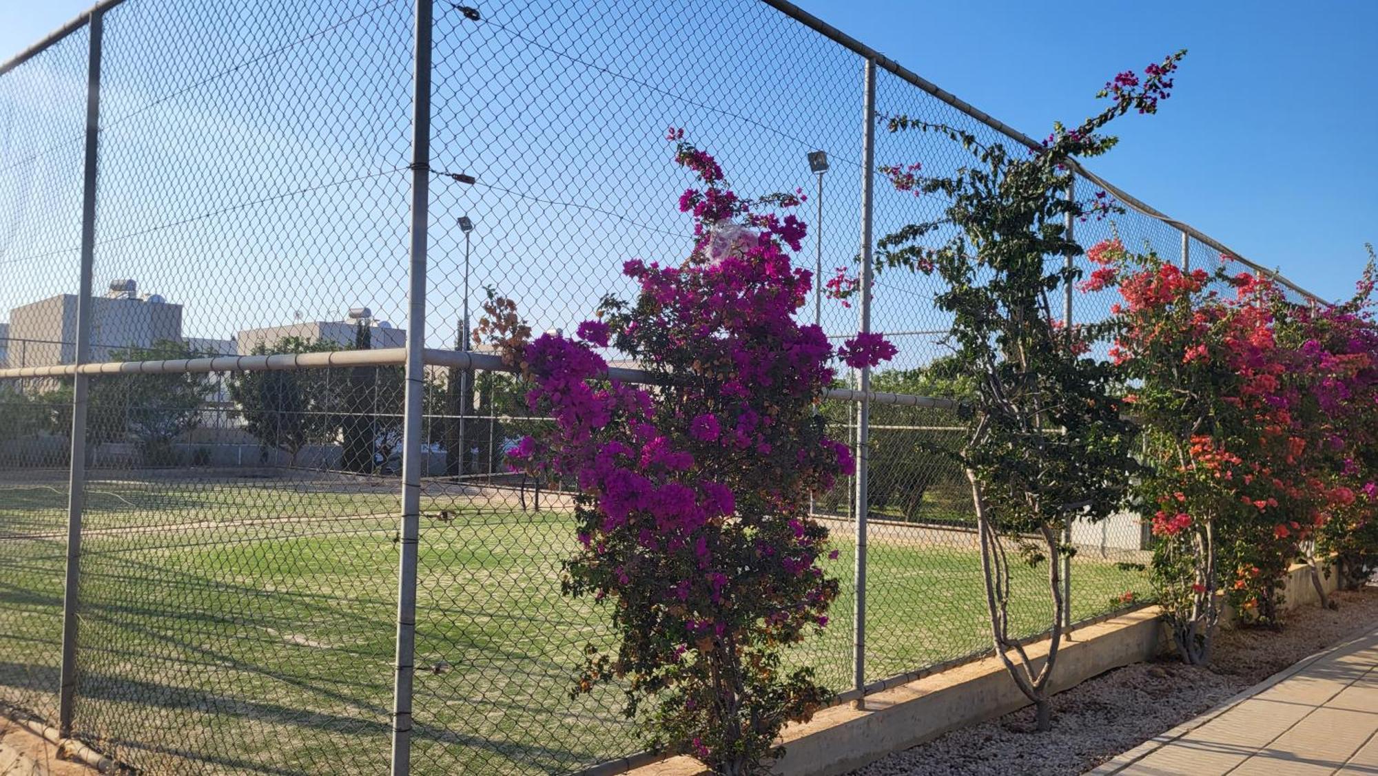 Mythical Sands Resort - Hana Paralimni Ruang foto